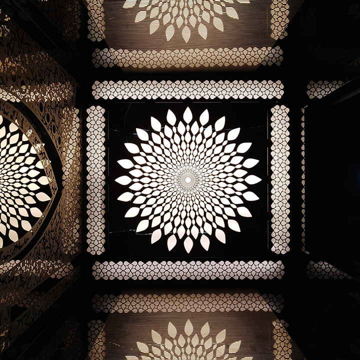 Mini Elevator for Home